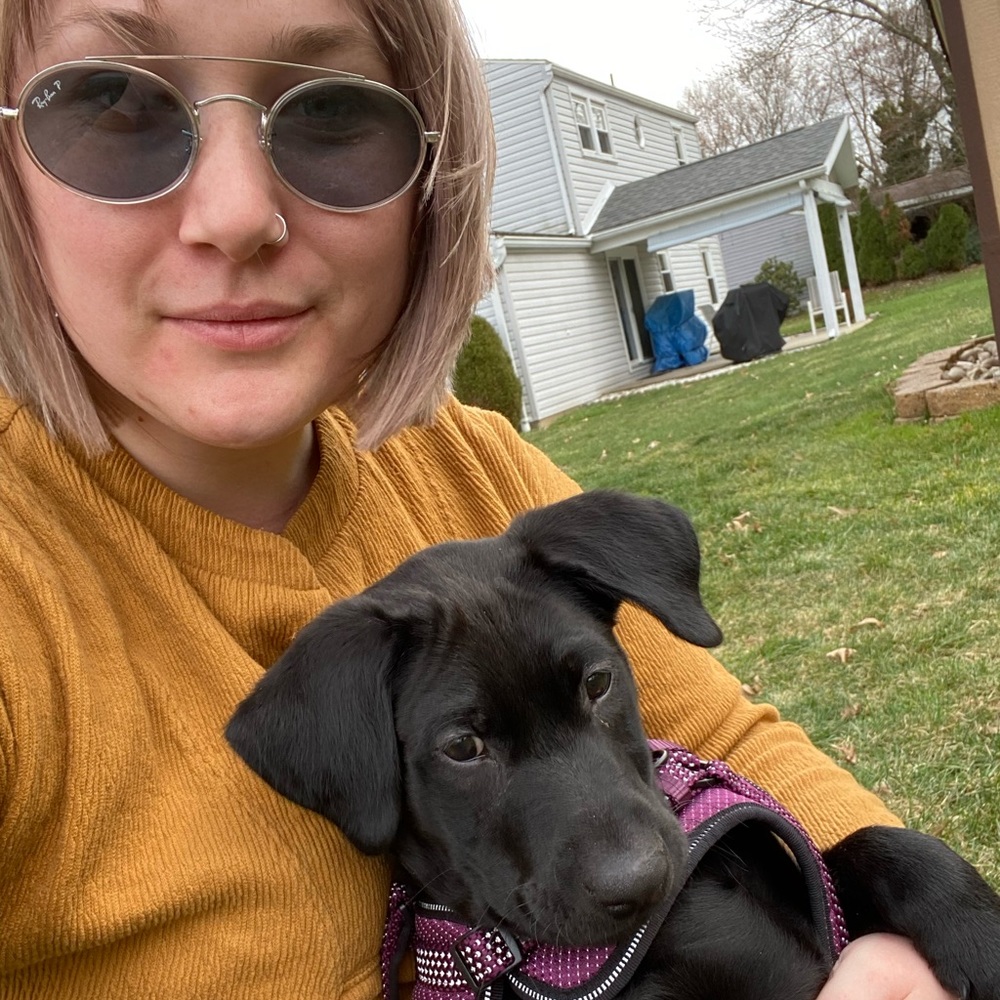 Meet your Posher, Alex